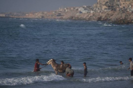 FT: Το «Συμβούλιο Ειρήνης» του Τραμπ διεξάγει συνομιλίες με την DP World για την ανοικοδόμηση της Γάζας